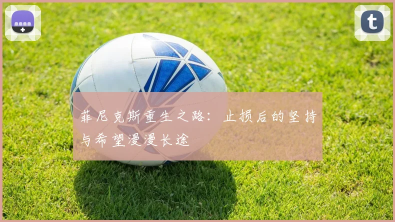 菲尼克斯重生之路：止损后的坚持与希望漫漫长途